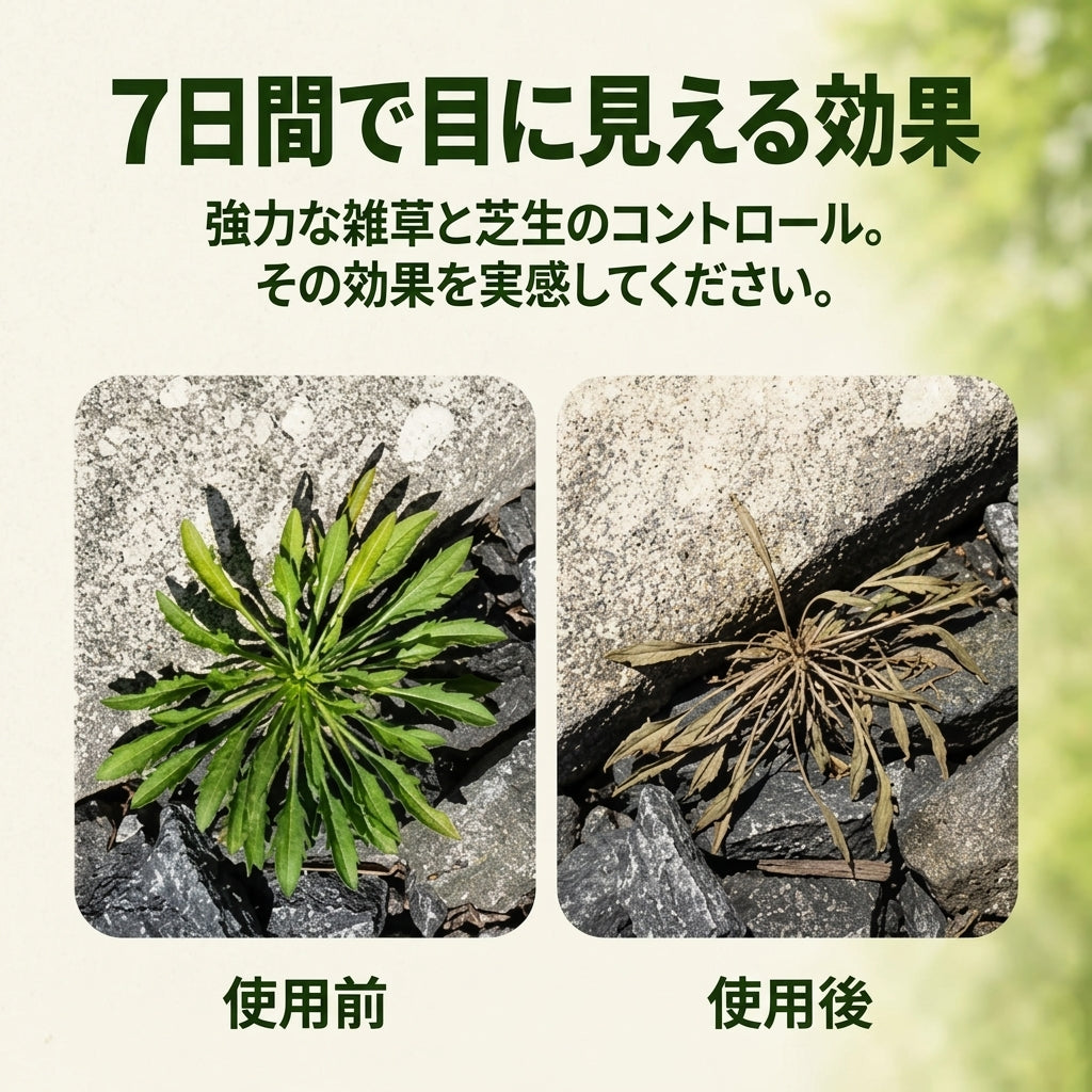 🔥2026年セール - 速効性の天然除草・除草スプレー